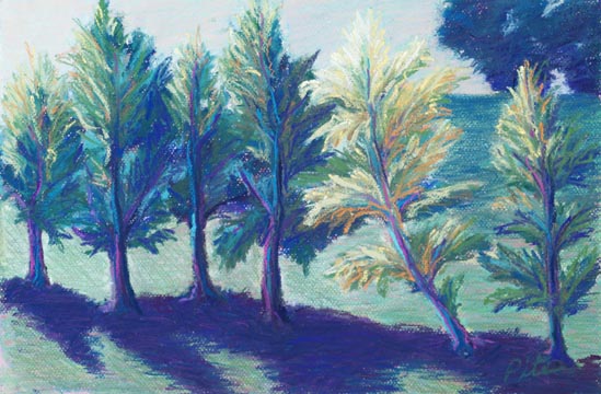 Sunlit Trees<div>Pastel on paper, 11 x 16” (21x16 matted and framed), $690 The striking light and shadows on dancing trees caught my eye in an what was otherwise a mundane park setting.</div>