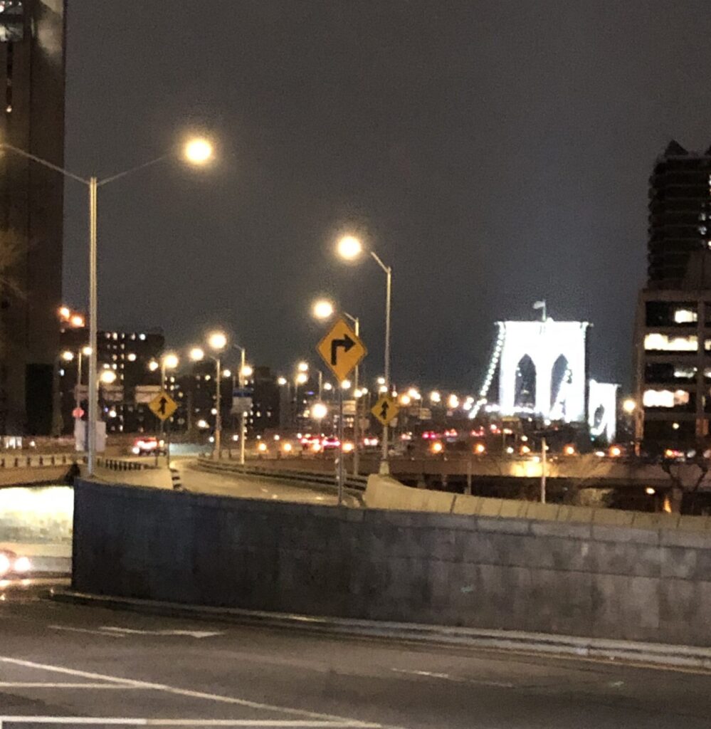Really Seeing NYC